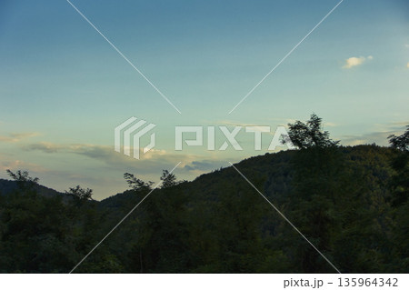 Dense green forest covering a mountain hillside, photographed from the road in August 2025, with layered trees, summer foliage, and a clear blue sky. Dense green forest covering a mountain hillside, photographed from the road in August 2025, with layered trees, summer foliage, and a clear blue sky. 135964342