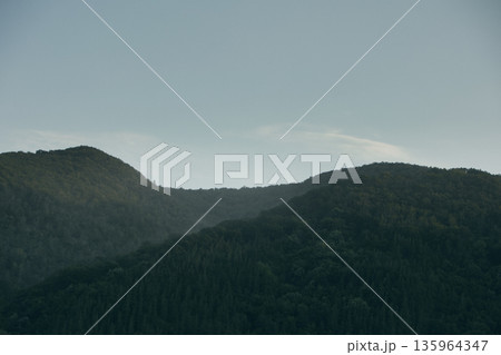 Dense green forest covering a mountain hillside, photographed from the road in August 2025, with layered trees, summer foliage, and a clear blue sky. Dense green forest covering a mountain hillside, photographed from the road in August 2025, with layered trees, summer foliage, and a clear blue sky. 135964347