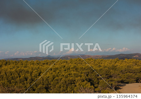 Dense green forest covering a mountain hillside, photographed from the road in August 2025, with layered trees, summer foliage, and a clear blue sky. Dense green forest covering a mountain hillside, photographed from the road in August 2025, with layered trees, summer foliage, and a clear blue sky. 135964374