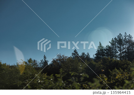 Dense green forest covering a mountain hillside, photographed from the road in August 2025, with layered trees, summer foliage, and a clear blue sky. Dense green forest covering a mountain hillside, photographed from the road in August 2025, with layered trees, summer foliage, and a clear blue sky. 135964415