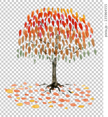 秋葉飄落的樹木 135964555