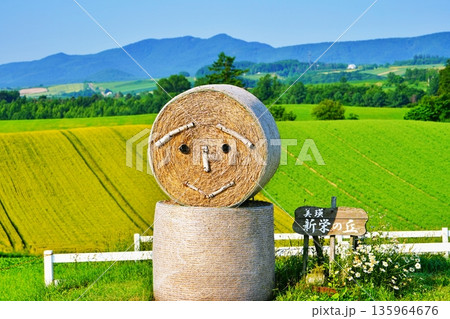 新栄の丘　(北海道美瑛町) 135964676