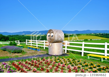 新栄の丘　(北海道美瑛町) 135964682