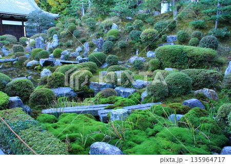 東福寺庭園(京都市) 東福寺庭園(京都市) 135964717