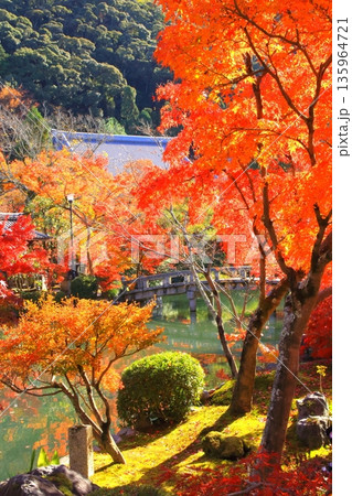 秋の永観堂(京都市・縦構図) 秋の永観堂(京都市・縦構図) 135964721