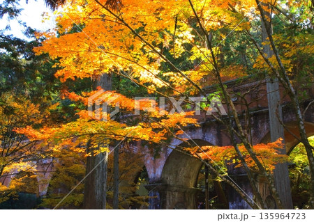 秋の南禅寺水路閤(京都市) 秋の南禅寺水路閤(京都市) 135964723