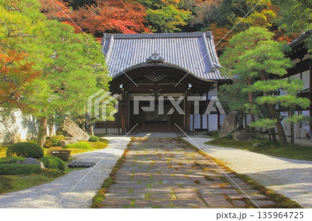 秋の南禅寺庭園（京都市） 135964725