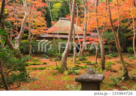 秋の祇王寺(京都市) 秋の祇王寺(京都市) 135964726