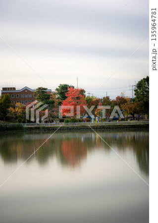 開成山公園の五十鈴湖に映る紅葉 開成山公園の五十鈴湖に映る紅葉 135964781