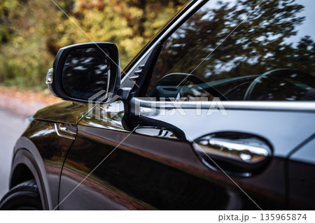 Car Side Mirror and Door Detail on Forest Road Car Side Mirror and Door Detail on Forest Road 135965874