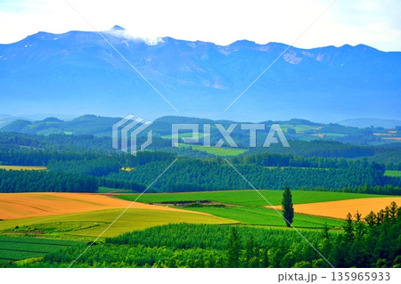 北海道上富良野町の丘の絶景 135965933