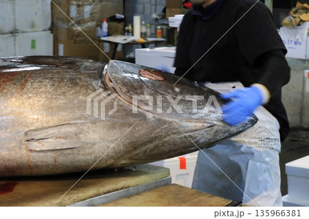 マグロ職人に捌かれる生の本マグロ マグロ職人に捌かれる生の本マグロ 135966381