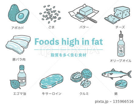 脂質を多く含む食材のイラストセット（良質な油・肉・魚・乳製品） 135966516