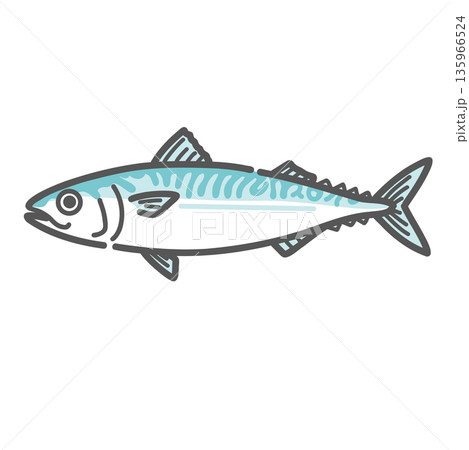 鯖（サバ）のイラスト（一尾/青魚/DHA・EPA） 135966524