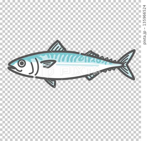 Illustration of mackerel (one fish/blue fish/DHA・EPA) 135966524