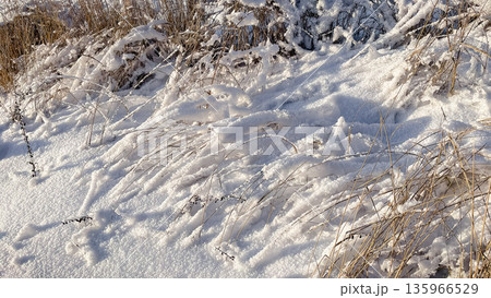 Beautiful crystalline hoarfrost and thick snow covering thin tree branches on a sunny winter day. Beautiful crystalline hoarfrost and thick snow covering thin tree branches on a sunny winter day. 135966529