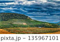 Rolling Vineyards and Autumn Fields under Dramatic Sky 135967101