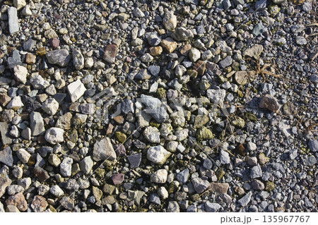 It is a rocky ground. It is a rocky ground. 135967767