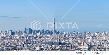 空撮「東京都」松戸市矢切付近の江戸川上空から都心方向を撮影　パノラマ 135967986