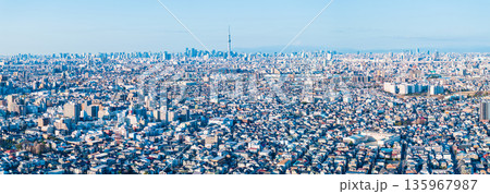 空撮「東京都」松戸市矢切付近の江戸川上空から都心方向を撮影　パノラマ 135967987