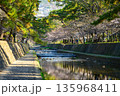夙川沿いの桜並木 夙川沿いの桜並木 135968411