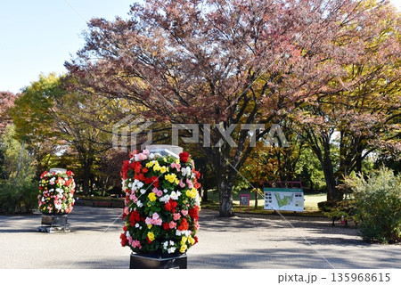 相模原市　神奈川県立相模原公園の紅葉と散策路 135968615