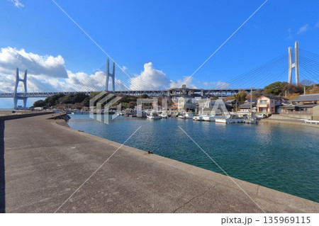 岩黒島内の岩黒漁港と瀬戸大橋（香川県坂出市） 135969115