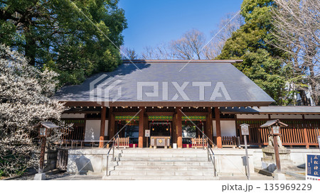 「東京都」乃木神社の風景　港区 135969229