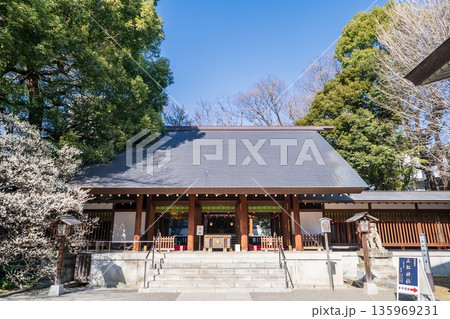 「東京都」乃木神社の風景　港区 135969231