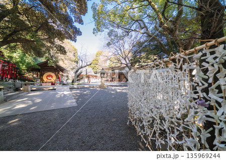 「東京都」乃木神社の風景　港区 135969244