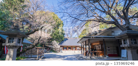 「東京都」乃木神社の風景　港区 135969246