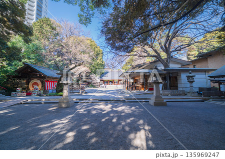 「東京都」乃木神社の風景　港区 135969247