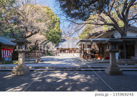 「東京都」乃木神社の風景　港区 135969248