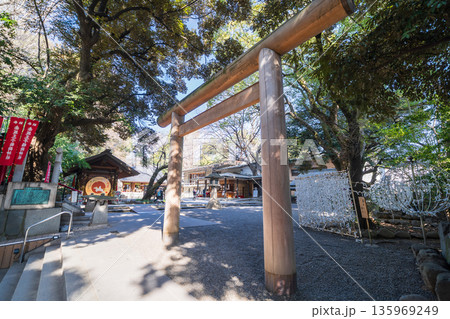 「東京都」乃木神社の風景　港区 135969249