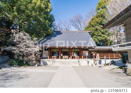 「東京都」乃木神社の風景　港区 135969251