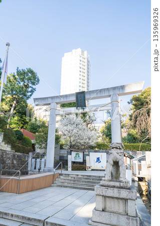 「東京都」乃木神社の風景　港区 135969326