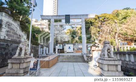 「東京都」乃木神社の風景 港区 「東京都」乃木神社の風景 港区 135969327