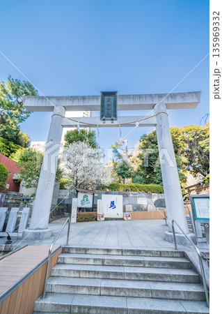 「東京都」乃木神社の風景　港区 135969332