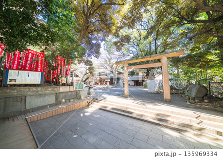 「東京都」乃木神社の風景　港区 135969334