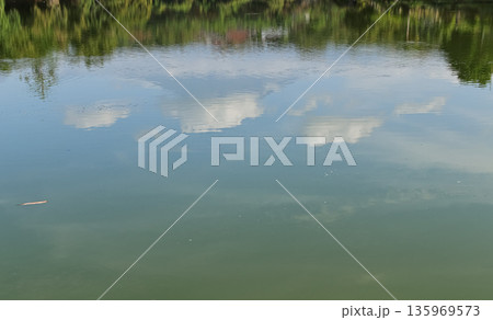 Serene lake reflection with clouds and trees creates a peaceful water texture background for nature-themed design projects, offering a sense of tranquility and natural beauty Serene lake reflection with clouds and trees creates a peaceful water texture background for nature-themed design projects, offering a sense of tranquility and natural beauty 135969573