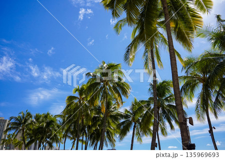 ハワイ ワイキキビーチとダイヤモンドヘッド 青い海と空のリゾート風景 コピースペース ハワイ ワイキキビーチとダイヤモンドヘッド 青い海と空のリゾート風景 コピースペース 135969693