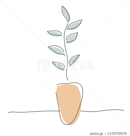 北欧スタイルの鉢植え植物とボタニカル線画・ミニマルな観葉植物のラインアート 135970070