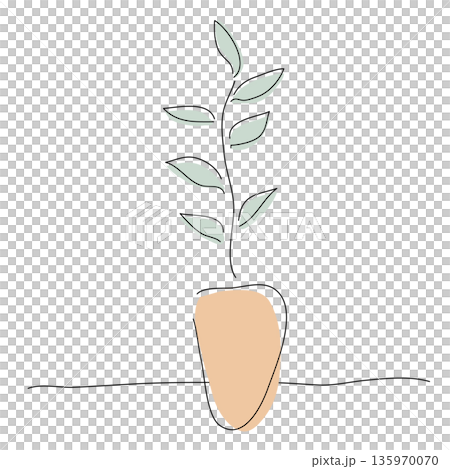 北欧スタイルの鉢植え植物とボタニカル線画・ミニマルな観葉植物のラインアート 135970070