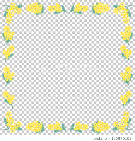 Hand-drawn mimosa simple frame_square 135970108