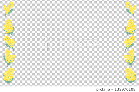 Hand-drawn mimosa simple left and right frame_horizontal Hand-drawn mimosa simple left and right frame_horizontal 135970109