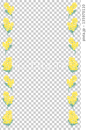 Hand-drawn mimosa simple left and right frame_vertical Hand-drawn mimosa simple left and right frame_vertical 135970110