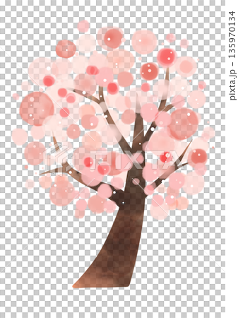 櫻花水彩 櫻花水彩 135970134