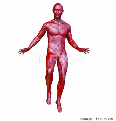 男性サイボーグ 135970496