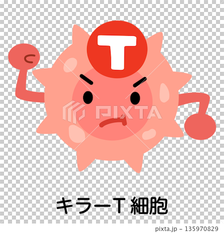 キラーT細胞　キャラクター 135970829