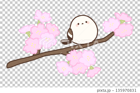 長い桜の枝にとまるシマエナガ 長い桜の枝にとまるシマエナガ 135970831